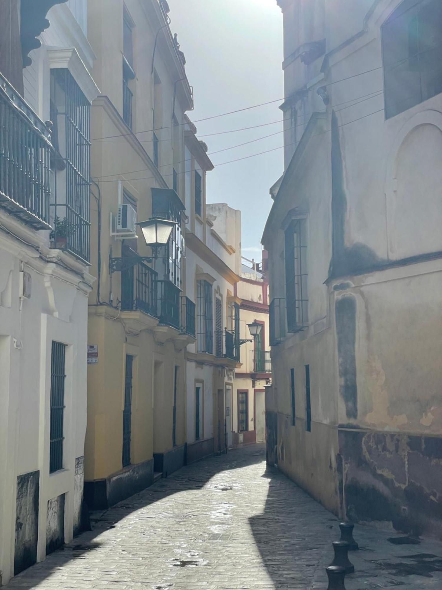 Sevilla Centro-Casco Antiguo -Vidrio 36 Exterior photo
